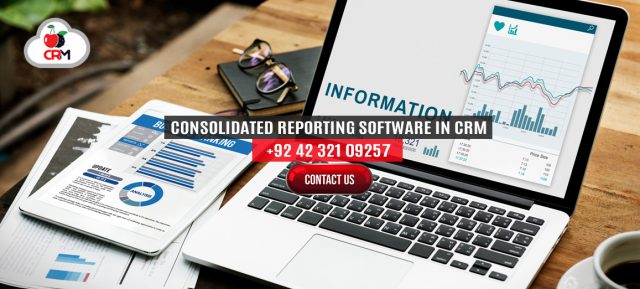 Consolidated Reports Services in Lahore